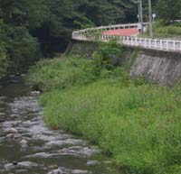 沢井の川